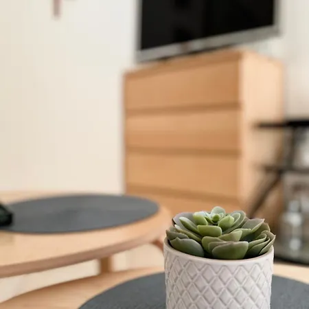 Διαμέρισμα Roky *