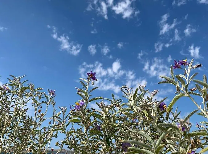 Apartman Roky Povljana