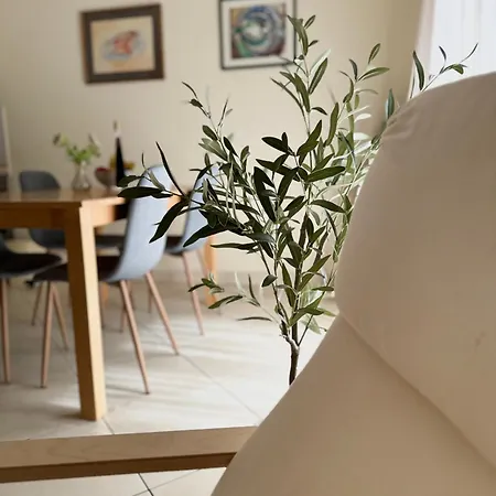 Appartement Roky Povljana