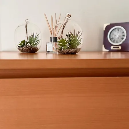 Roky Apartment *